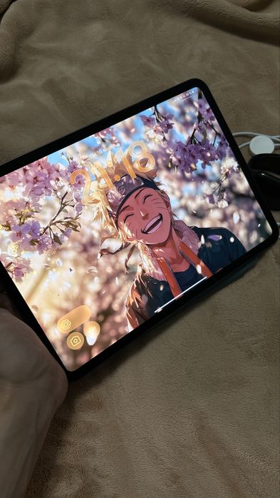Ipad Pro 11 m4 с 150+ взломанными программами