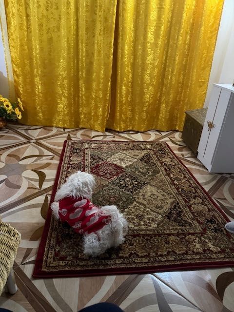 Персийски килим червен