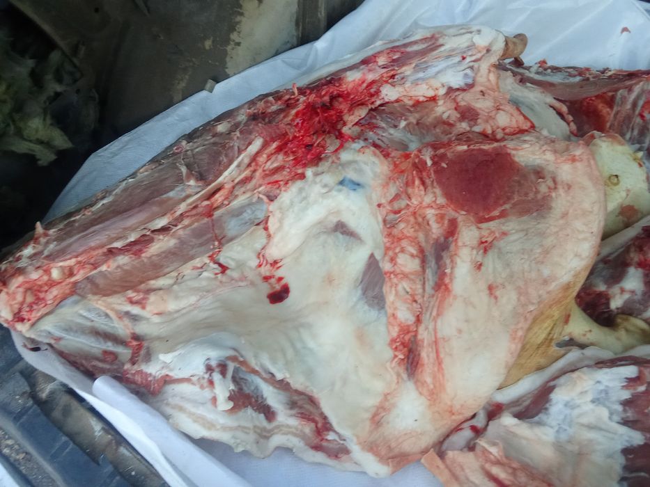 Мясо свинины свежие.