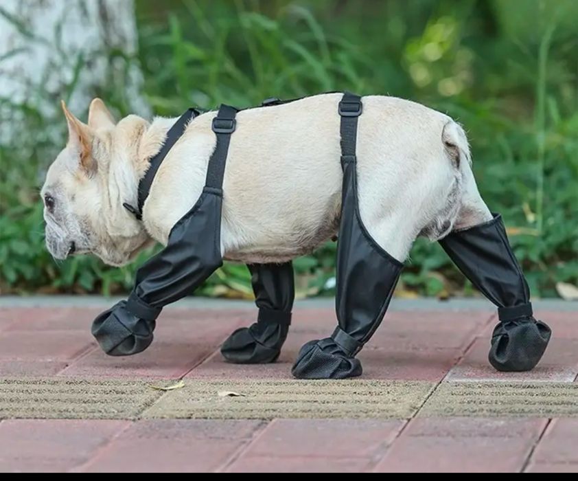 Ботинки для собак размер S