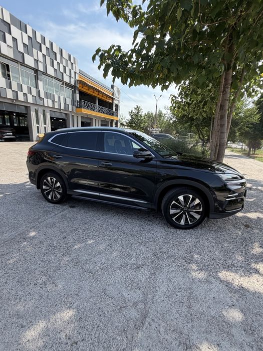 Byd champion smart 2025
