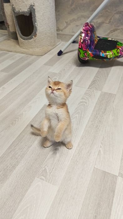 Шикарные здоровые малыши