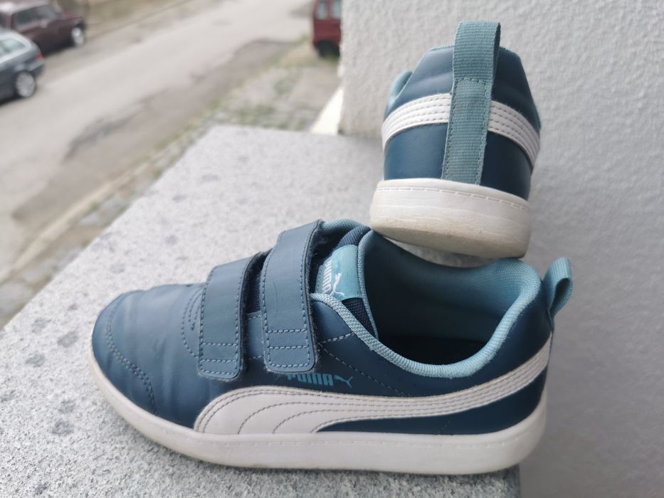 Кецове Пума 34н.