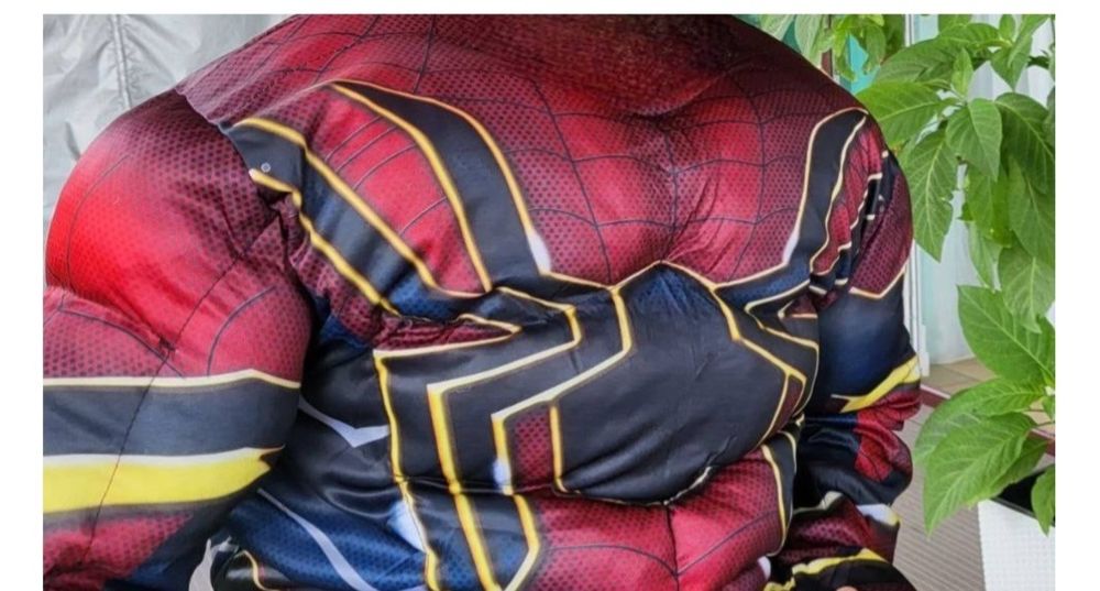 Аниматор , ростовые игрушки