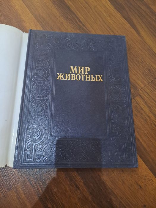 Энциклопедия 1998 года