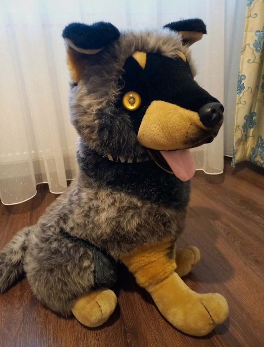 Caine de plus cu baterii. Latra la batut din palme si se aprind ochii