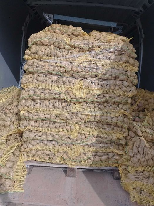 Картофи За Семе Клас А Сортове Карера Агата Луизиана Маранело Маестро