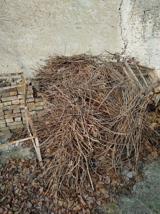 Oʻtin sotiladi oʻtin