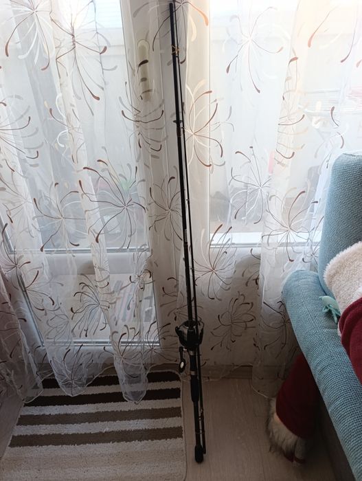 Спининг пръчка с макара