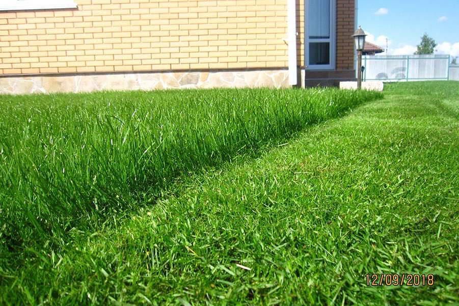 Газон ориш хизмати