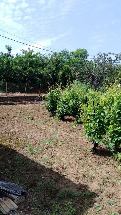 Продава се Къща в с. Баня, Област Бургас - 90 кв.м за 989 €/кв.м - Снимка #1