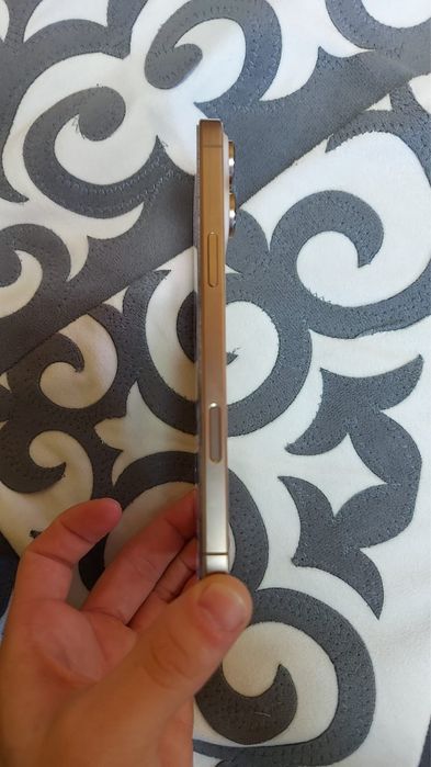 Iphone 16 pro max 256g