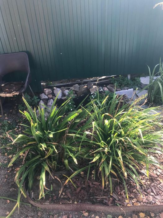 Дача 42кв в Новопавловке