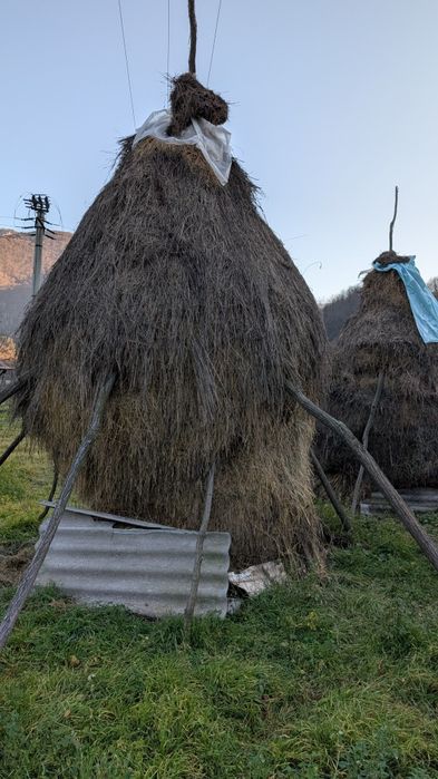 Lucerna de vânzare fan
