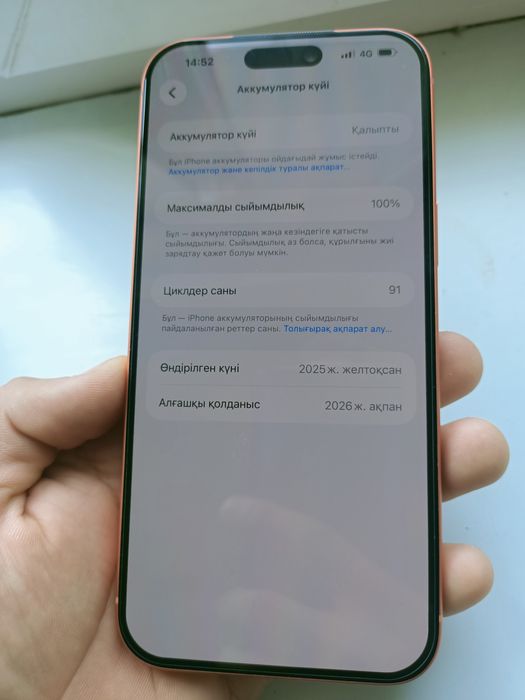 Ipfone  17про макс