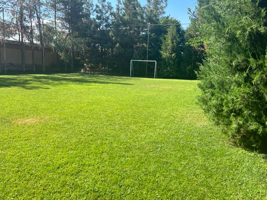 Собственность на продажу