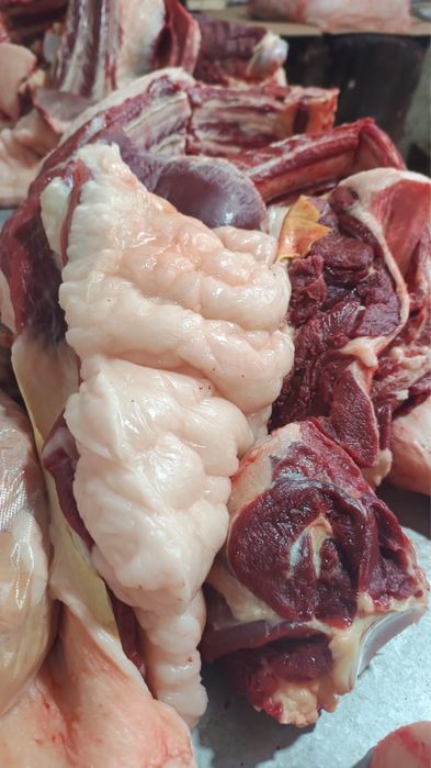 Жылқы еті жіліктеп Мясо Конины Каспий Ред бар