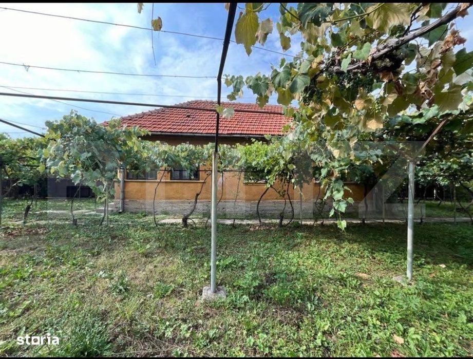 Doua casa de vanzare, teren intravilan 1773 mp, zona Stolojani