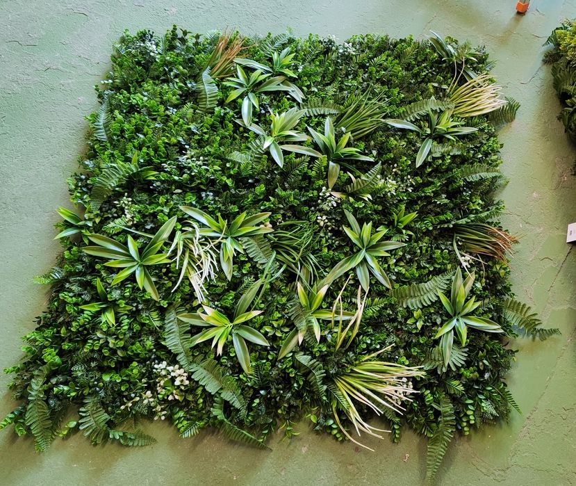 Зелена стена за декорация