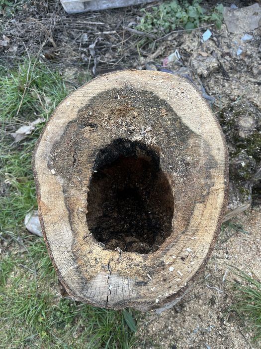 Дърво за декор.