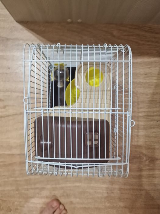 Новая клетка для хомяков