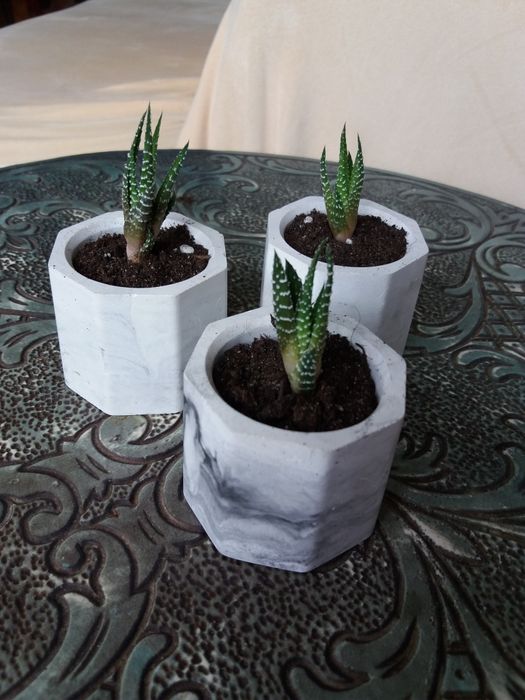 Цветы-прекрасный подарок