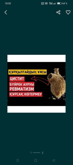 Куркултай уясы гнездо ремеза