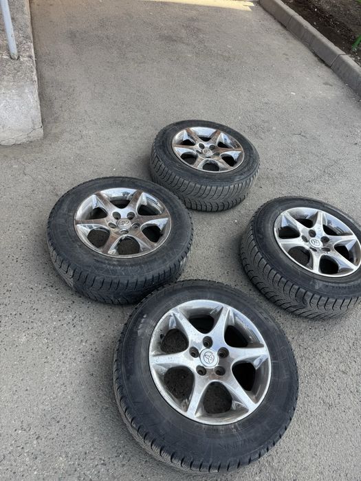 Титанови диск хром зимни ризинамен брге