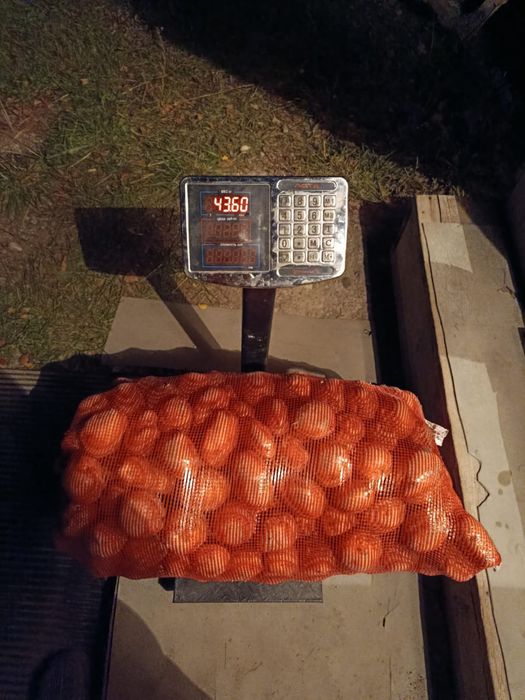 Картошк Нарынкол