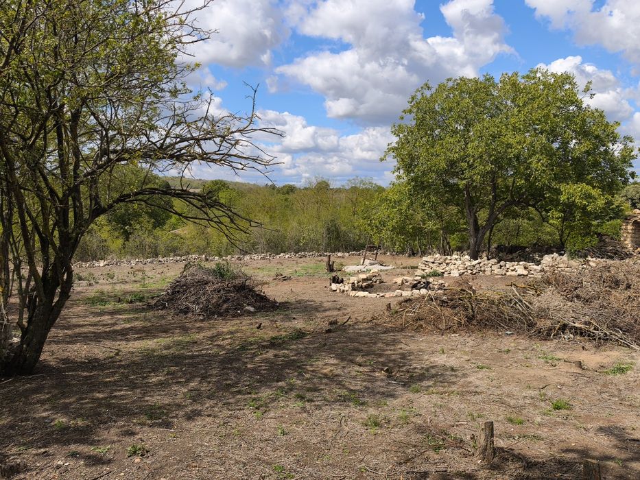 Продава се Парцел в с. Момчилово, Област Варна - 2440 кв.м за 9 €/кв.м - Снимка #3