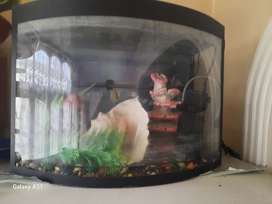 Аквариум для рыбы