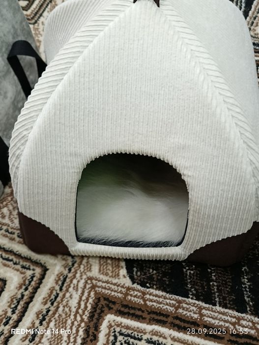 Продам домики для питомца