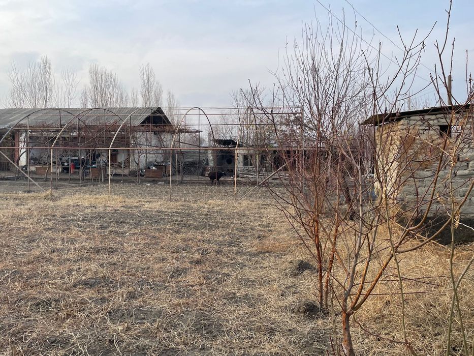 Окжарда ховлининг 10 сотих кисми сотилади.