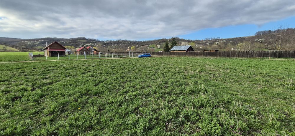 Teren  extravilan  5100 m²