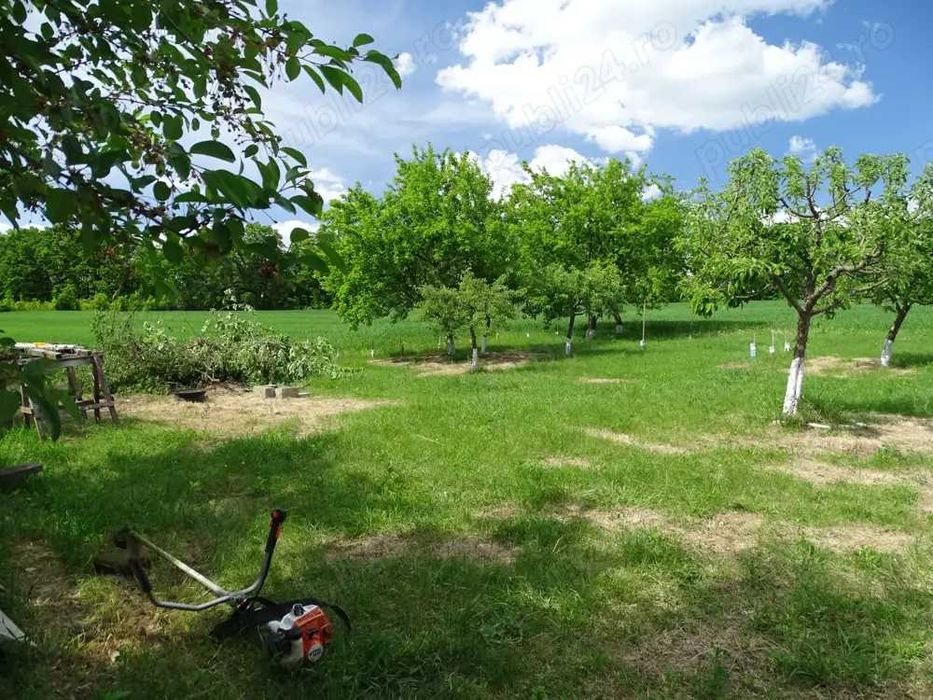Casa si teren in natura