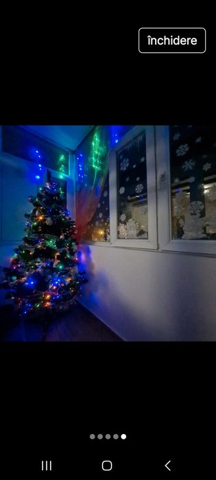 Vând brad Crăciun arată impecabil