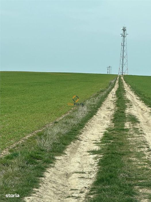 Proprietar Teren langa Domeniile Herneacova