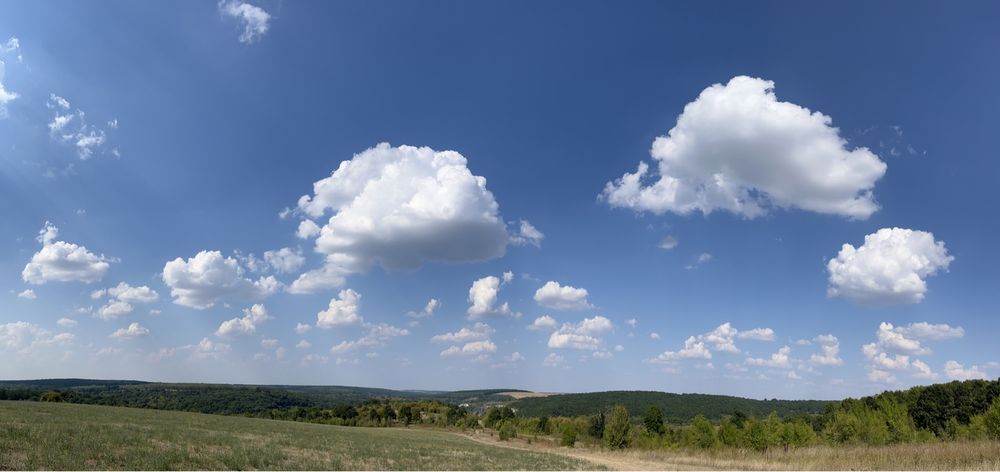 Мед-реколта 2025г.- букет- липа, акация и горски билки- /Пчелен прашец