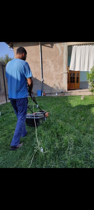 Gazon oʻrish archa kesish 12 -yillik agranom