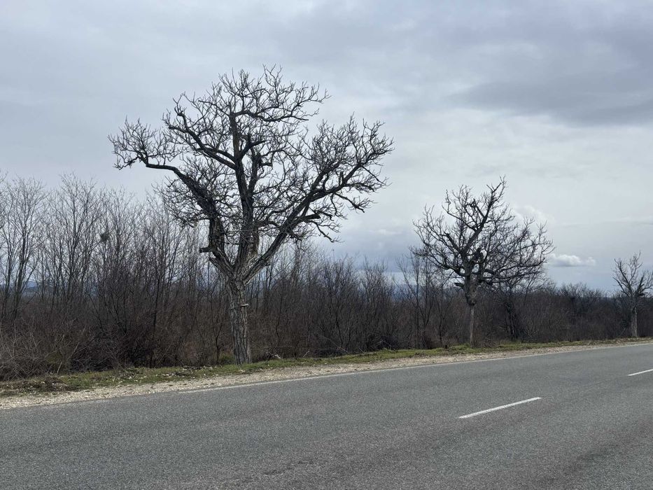 Продава се Парцел в Карлово - 4558 кв.м за 8 €/кв.м - Снимка #1