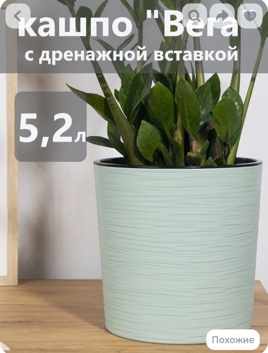 Продам комнатные растения