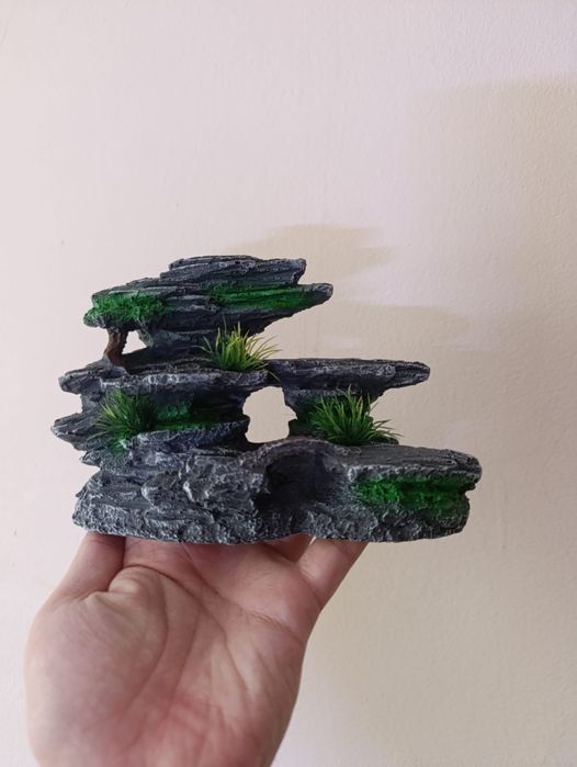 Аквариум балықтар