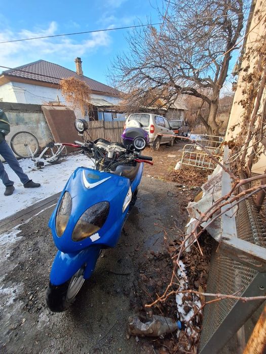 Фриеро ратон 2011