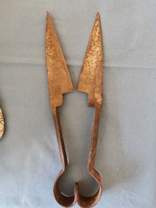 Много стари ножици и сечива.