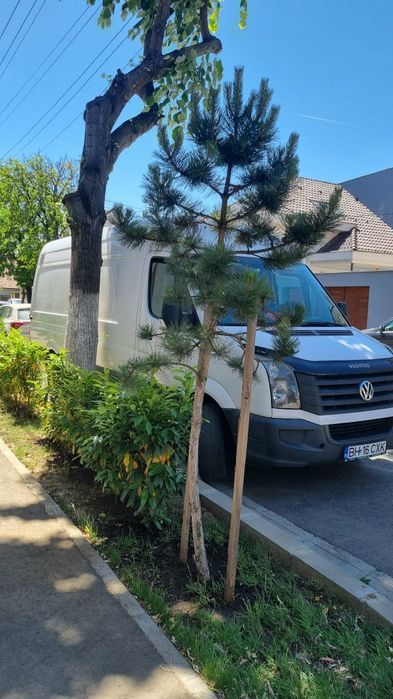 Volkswagen crafter 2014