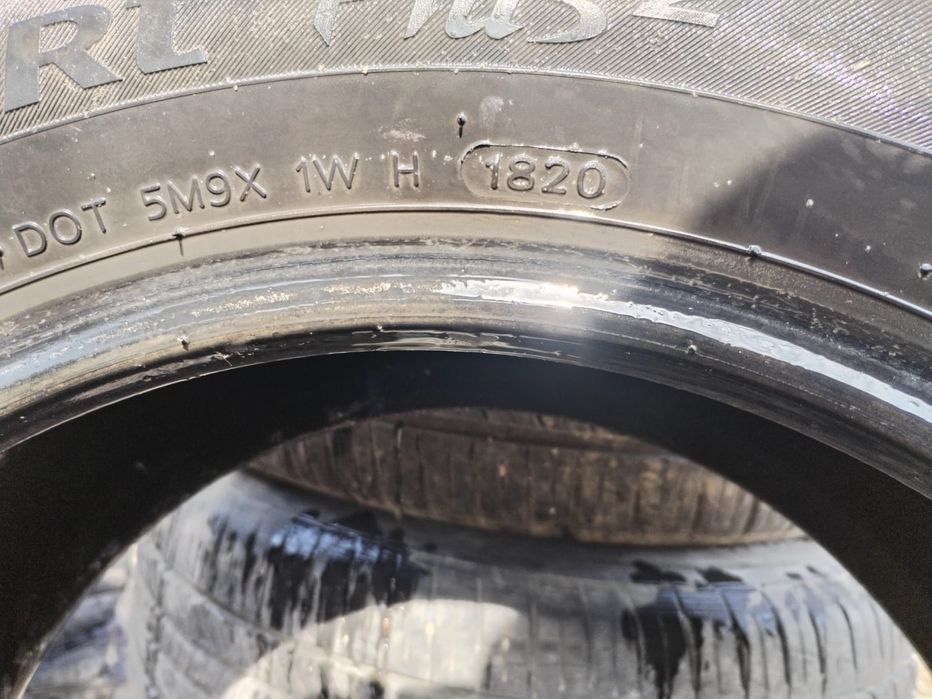 Ризина летный  хорошо состояние