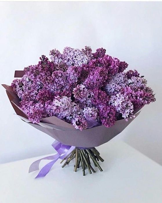 сирень букеты алматы