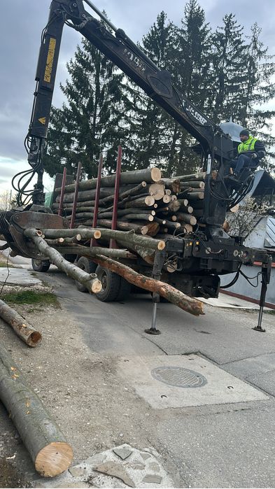 Lemne de foc FAG salcam CARPEN stejar