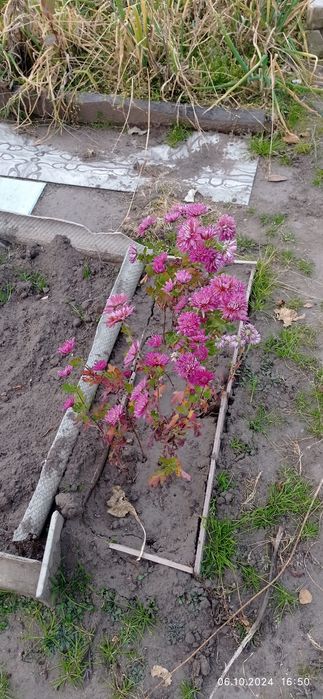 Продам отличную дачу!