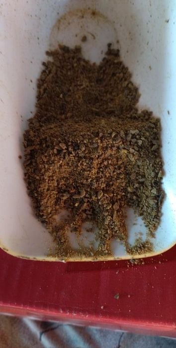 Propolis Brut. Produs apicol